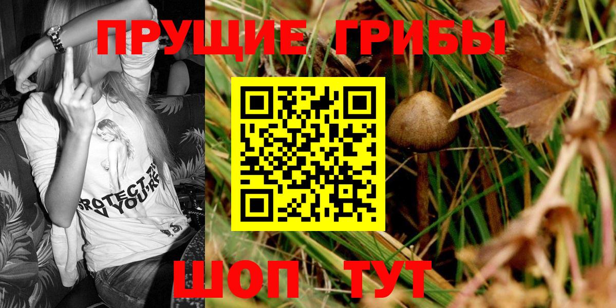 Галлюциногенные грибы Psilocybine cubensis  Вход с VPN  Галлюциногенные грибы мухоморы  Ульяновск 